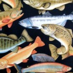 Fish on black background  fabric