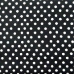 Black & White Spot fabric
